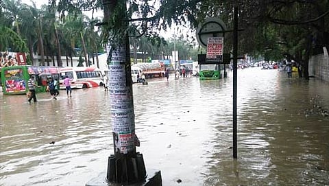 ಸಂಗ್ರಹ ಚಿತ್ರ