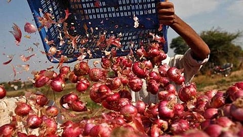 Onion prices