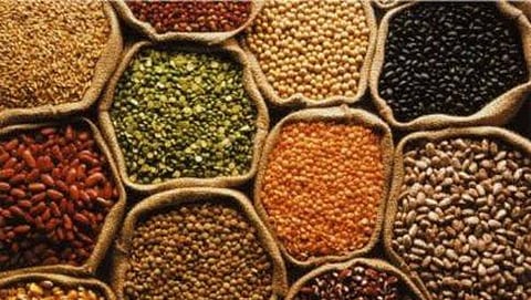 ಸಿಲಿಕಾನ್ ಸಿಟಿಯಲ್ಲಿ ಸಿರಿಧಾನ್ಯ ಮತ್ತು ಸಾವಯವ ಮೇಳ; ರೈತರಿಗೆ ಬೆಳೆಗಳ ಮಾಹಿತಿ