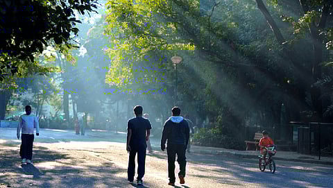 ಸಂಗ್ರಹ ಚಿತ್ರ