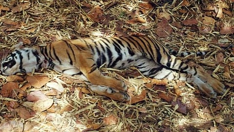 ಸಾಂದರ್ಭಿಕ ಚಿತ್ರ