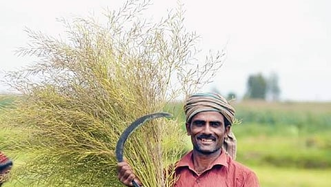 ಸಾಂದರ್ಭಿಕ ಚಿತ್ರ