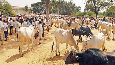 ಸಾಂದರ್ಭಿಕ ಚಿತ್ರ