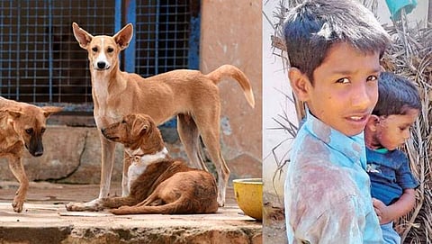3 ವರ್ಷದ ಮಗುವಿನ ಮೇಲೆ ನಾಯಿ ದಾಳಿ: ಮಗುವನ್ನು ರಕ್ಷಿಸಿದ ಧೈರ್ಯವಂತ ಬಾಲಕ