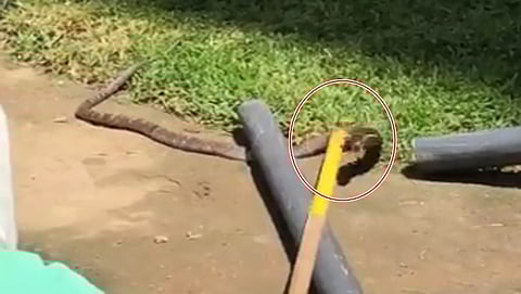ಸಂಗ್ರಹ ಚಿತ್ರ