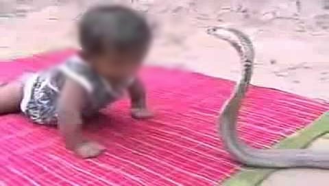 ಸಂಗ್ರಹ ಚಿತ್ರ