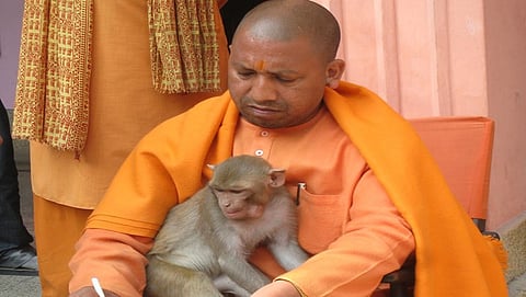 ಯೋಗಿ ಆದಿತ್ಯನಾಥ್