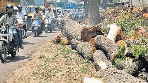 ಬೆಂಗಳೂರು-ಮೈಸೂರು ಅಷ್ಟಪಥ ರಸ್ತೆ ನಿರ್ಮಾಣ ಕಾರ್ಯ ಆರಂಭ