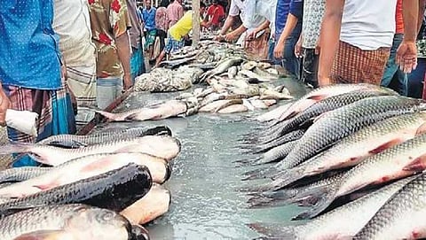 ಸಾಂದರ್ಭಿಕ ಚಿತ್ರ