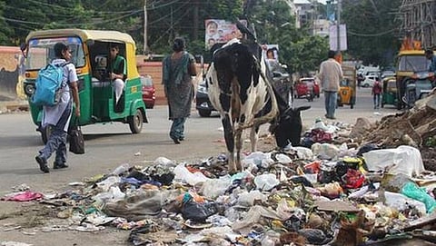 ಸಂಗ್ರಹ ಚಿತ್ರ