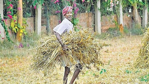 ಸಾಂದರ್ಭಿಕ ಚಿತ್ರ
