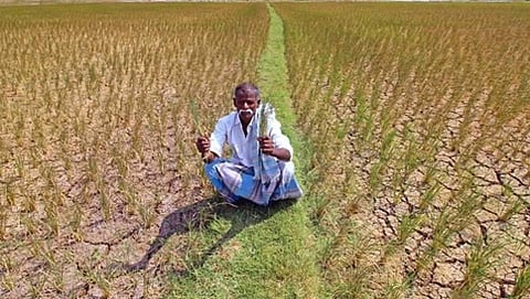 ಸಾಂದರ್ಭಿಕ ಚಿತ್ರ