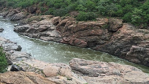 ಸಂಗ್ರಹ ಚಿತ್ರ