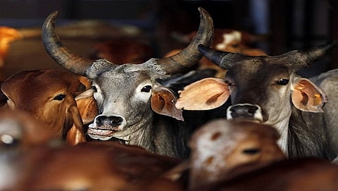 ಸಾಂದರ್ಭಿಕ ಚಿತ್ರ