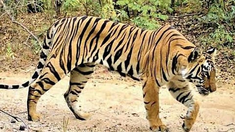 ಸಂಗ್ರಹ ಚಿತ್ರ