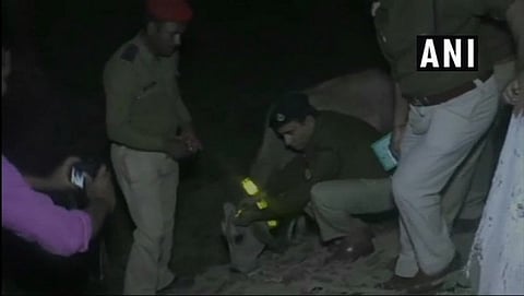 ಉತ್ತರ ಪ್ರದೇಶ: ಅಪಘಾತದಿಂದ ರಕ್ಷಿಸಲು ಹಸುಗಳಿಗೆ ರೇಡಿಯಂ ಬ್ಯಾಂಡ್