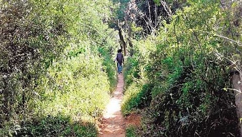 ಕಕ್ಕಟ್ಟು ಕಾಡು ಗ್ರಾಮದ ಕಿರಿದಾದ ರಸ್ತೆ