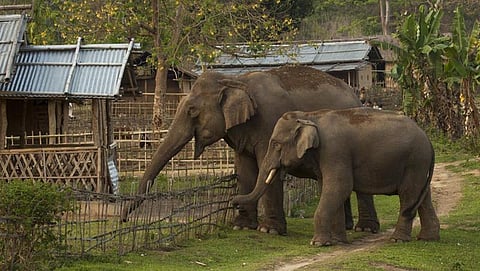ಸಂಗ್ರಹ ಚಿತ್ರ