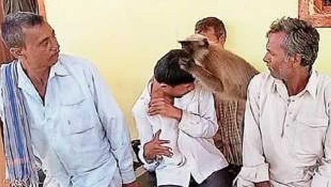 ನರಗುಂದ: ಮೃತನ ಮನೆಗೆ ತೆರಳಿ ಕುಟುಂಬಸ್ಥರಿಗೆ ಸಾಂತ್ವನ ಹೇಳಿದ ಕೋತಿ!