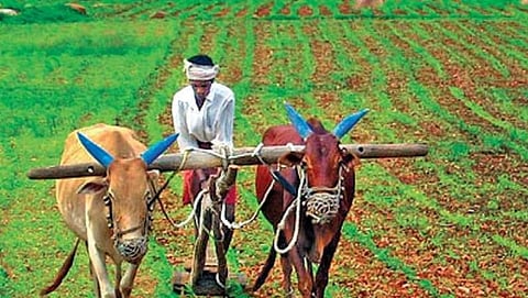 ಸಾಂದರ್ಭಿಕ ಚಿತ್ರ