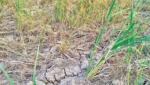 ಸಾಂದರ್ಭಿಕ ಚಿತ್ರ