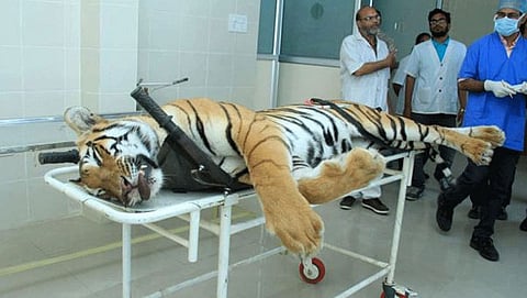 ಸಂಗ್ರಹ ಚಿತ್ರ
