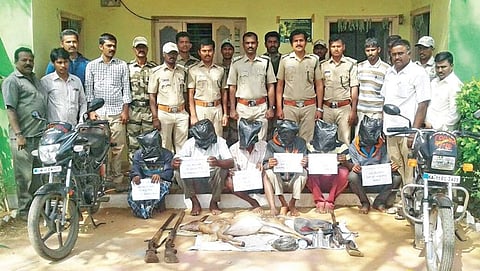 ಕಾವೇರಿ ವನ್ಯಜೀವಿ ಅಭಯಾರಣ್ಯ ವ್ಯಾಪ್ತಿಯಲ್ಲಿ ಮಾಂಸಕ್ಕಾಗಿ ಜಿಂಕೆ ಭೇಟಿಯಾಡುತ್ತಿದ್ದ ಆರೋಪಿಗಳ ಚಿತ್ರ