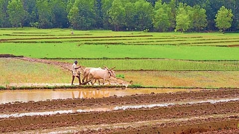 ರೈತರ ಸಾಂದರ್ಭಿಕ ಚಿತ್ರ