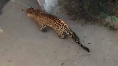 ಸಾಂದರ್ಭಿಕ ಚಿತ್ರ