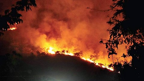 ಸಂಗ್ರಹ ಚಿತ್ರ