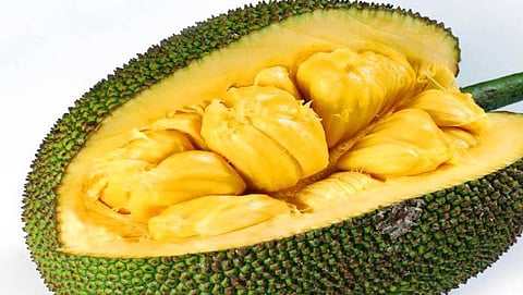 ಹಲಸಿನ ಹಣ್ಣು