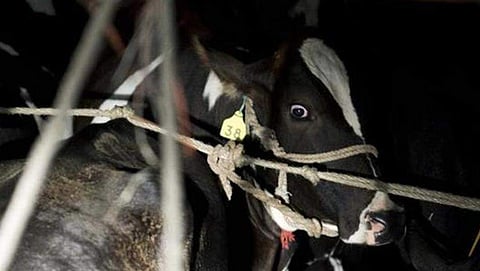 ಸಾಂದರ್ಭಿಕ ಚಿತ್ರ
