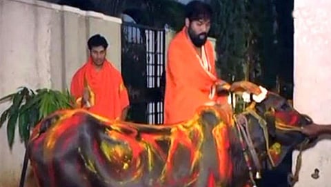 ವಿಧಾನಸಭಾ ಚುನಾವಣೆ: ಮತದಾನಕ್ಕೂ ಮುನ್ನ ಗೋಮಾತೆಗೆ ಪೂಜೆ ಸಲ್ಲಿಸಿದ ಶ್ರೀರಾಮುಲು