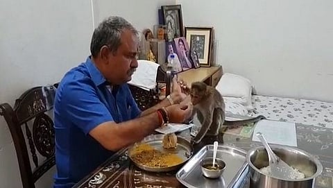 ಕೋತಿಯೊಂದಿಗೆ ಉಪಹಾರ ಸೇವಿಸುತ್ತಿರುವ ಸುರೇಶ್ ಬಾಬು