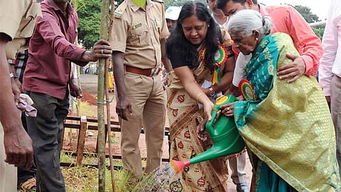 ಸಾಲುಮರದ ತಿಮ್ಮಕ್ಕ