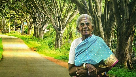 ಸಾಲು ಮರದ ತಿಮ್ಮಕ್ಕ