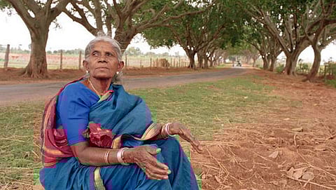 ಸಂಗ್ರಹ ಚಿತ್ರ
