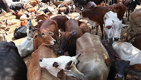 ಸಾಂದರ್ಭಿಕ ಚಿತ್ರ