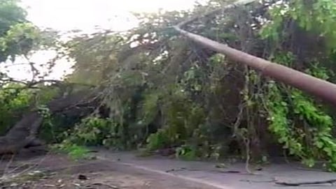 ಸಾಂದರ್ಭಿಕ ಚಿತ್ರ