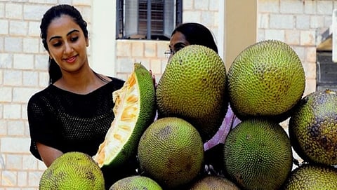 ಕಾಸರಗೋಡು: ಹಲಸಿನ ಬೀಜದಿಂದ ಲಾಡು, ಪಾಯಸ ತಯಾರಿಸಿದ ಮಹಿಳೆಯರು