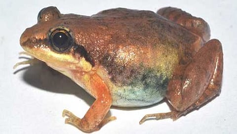 ಸಾಂದರ್ಭಿಕ ಚಿತ್ರ