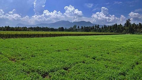 ಸಾಂದರ್ಭಿಕ ಚಿತ್ರ