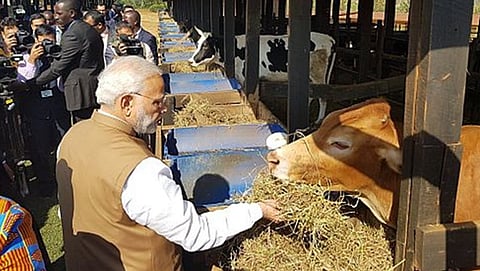 ಪ್ರಧಾನಿ ಮೋದಿ