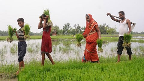 ಸಂಗ್ರಹ ಚಿತ್ರ