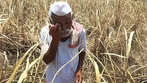 ಸಾಂದರ್ಭಿಕ ಚಿತ್ರ