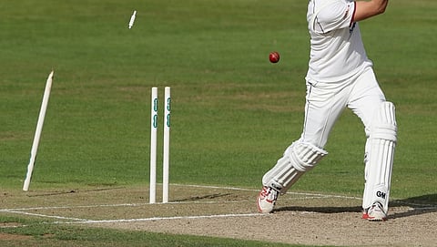 Cricket