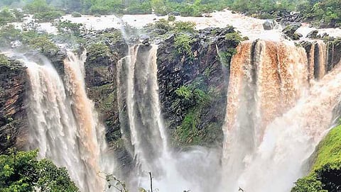 ಸಂಗ್ರಹ ಚಿತ್ರ