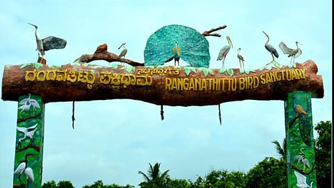 ರಂಗನತಿಟ್ಟು ಪಕ್ಷಿಧಾಮ