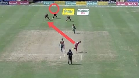 ಶೇಲ್ಡನ್ ಕಾಟ್ರೆಲ್