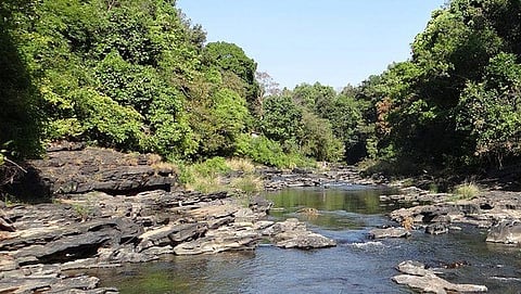 ಸಂಗ್ರಹ ಚಿತ್ರ